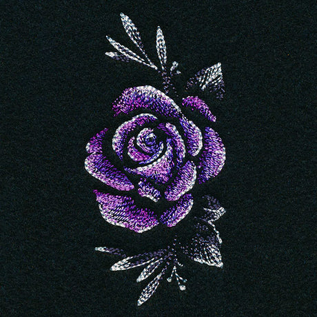 Alluring Midnight Rose
