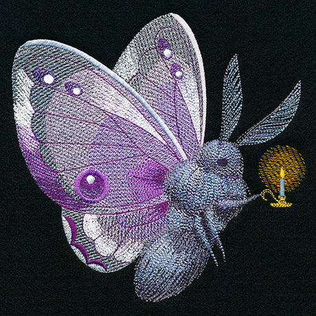 Follow the Light Moth