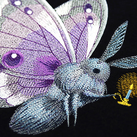 Follow the Light Moth