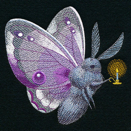 Follow the Light Moth