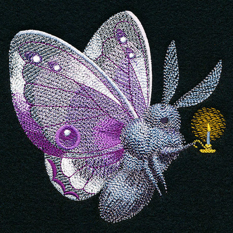 Follow the Light Moth