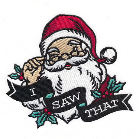 I Saw That Santa