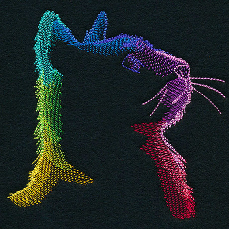 Wondrous Kitty