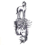 Unicorn Reflection