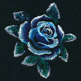 Frosted Midnight Rose