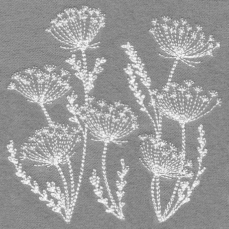 Blooming Queen Anne's Lace Square