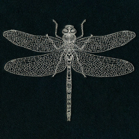 Delicate Dragonfly