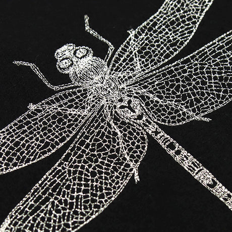 Delicate Dragonfly