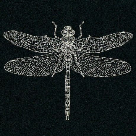 Delicate Dragonfly