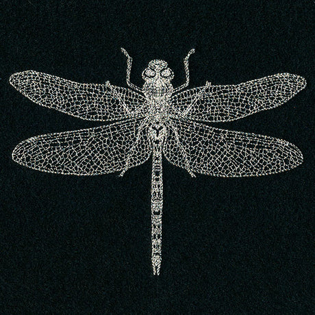 Delicate Dragonfly
