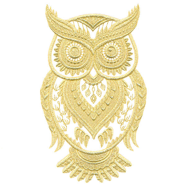 Glistening Wise Owl