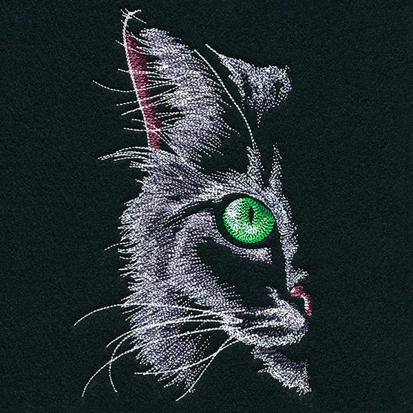 Feline Fierce Kitty