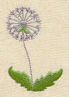 Dandelion Seeds