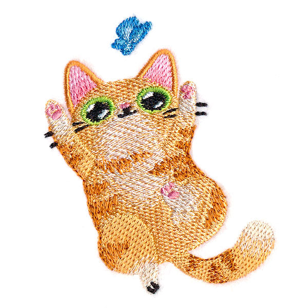 Playful Tabby Kitty