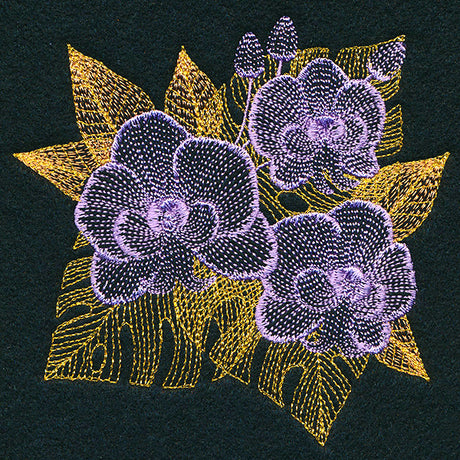 Tropical Dreams Orchid
