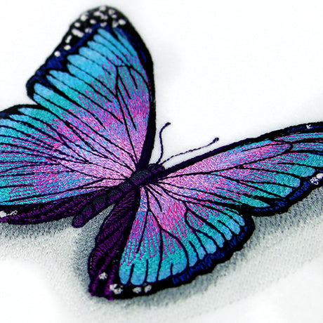 Fluttering Shadows Butterfly