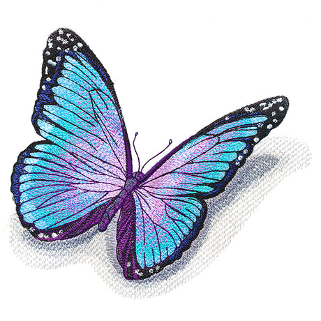Fluttering Shadows Butterfly