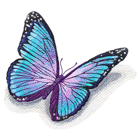 Fluttering Shadows Butterfly