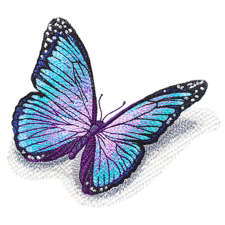 Fluttering Shadows Butterfly