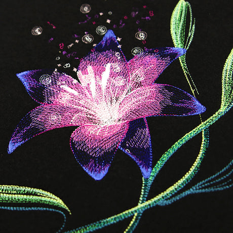 Lily of Wonder