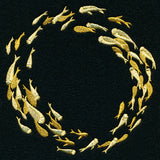 School of Fish