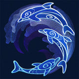 Dolphin Pod