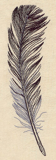 Wispy Feather