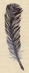 Wispy Feather