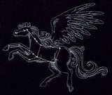 Pegasus