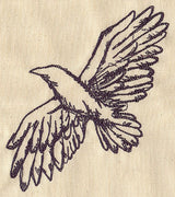 Soaring
