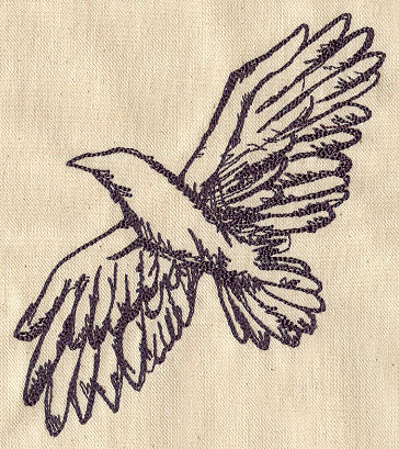 Soaring