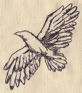 Soaring