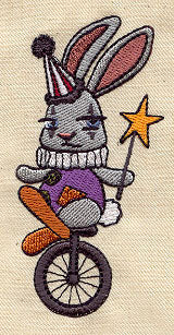 Unicycle Bunny