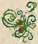 Venus Flytrap