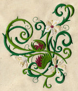 Venus Flytrap