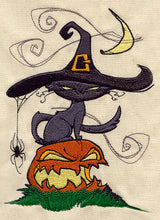 Spooky Cat