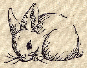 Bunny Sketch