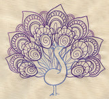 Delicate Peacock
