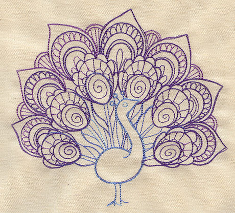 Delicate Peacock