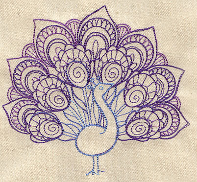 Delicate Peacock