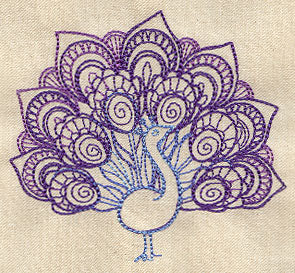 Delicate Peacock