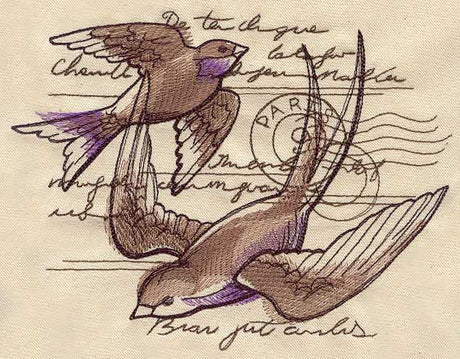 Parisian Swallows