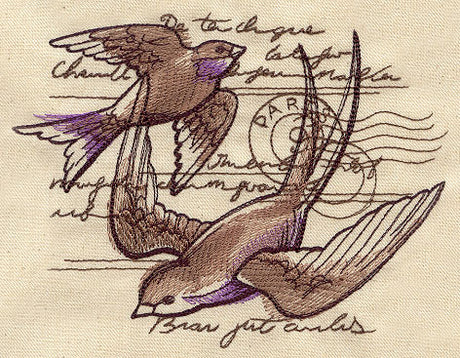 Parisian Swallows