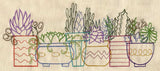 Succulents