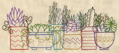Succulents