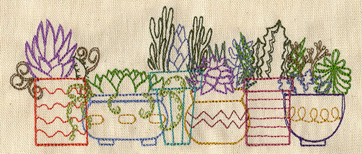 Succulents