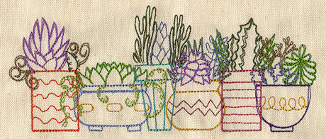 Succulents