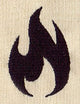 Signs of Science - Fire