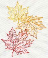 Delicate Autumn Leaves