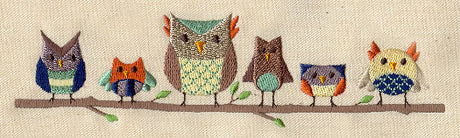 Owl Lined Up
